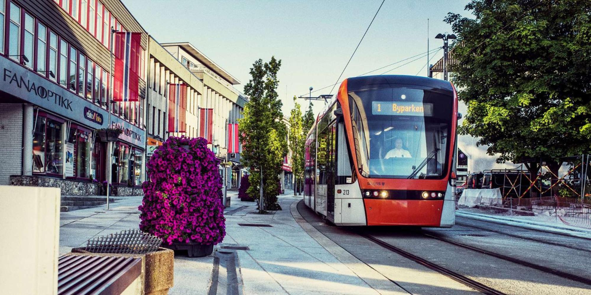 Newly Renovated Rom Fana Bergen